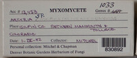 Image Associated With the Occurence